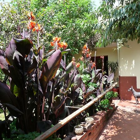 Kukuli Lodge B&B Cusco Dış mekan fotoğraf