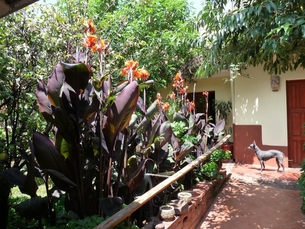 Kukuli Lodge B&B Cusco Dış mekan fotoğraf