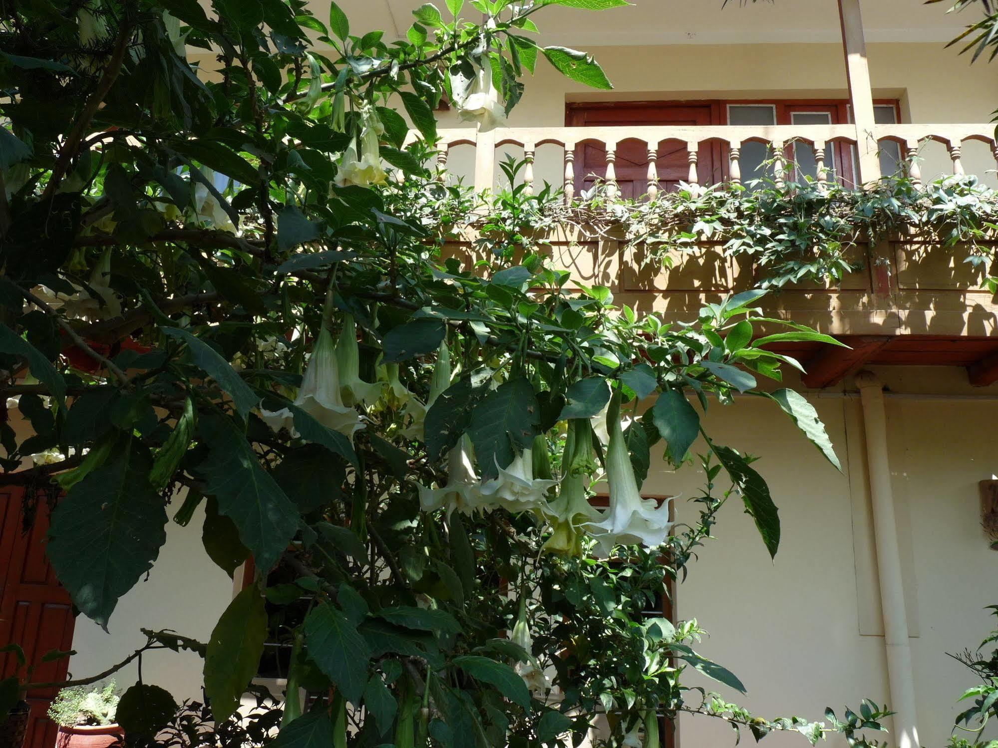 Kukuli Lodge B&B Cusco Dış mekan fotoğraf